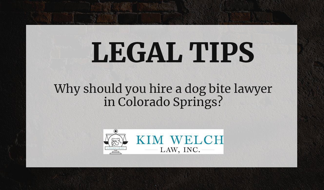 Why should you hire a dog bite lawyer in Colorado Springs?